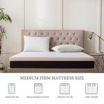 Cozy Double Memory Foam Mattress - 4FT6