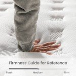 Vesgantti 9.8 Inch Pocket Sprung Single Mattress