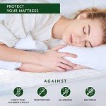 Single Waterproof Mattress Protector for Bunk Beds