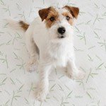 Waterproof Bamboo Mattress Protector for Double Beds