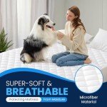 Waterproof Double Mattress Protector - Soft & Hypoallergenic