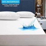 Anti-Allergy Waterproof Mattress Protector for Bunk Beds