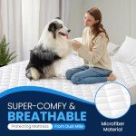 Sunshine Comforts Quilted Mattress Protector for Single Beds