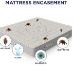 Anti-Allergy Waterproof Mattress Protector for Bunk Beds