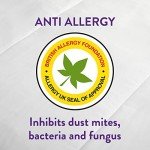 Anti-Allergy Mattress Protector for Double Bed