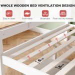 ZANOFIRA Solid Pine Triple Bunk Bed Set