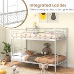Metal Twin over Twin Bunk Bed with Ladder
