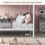 Metal Twin over Twin Bunk Bed with Ladder