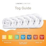 Cozy 2.5 Tog Single Duvet for Bunk Beds
