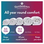 Dual Comfort Duvet - 2-in-1 Lightweight & All-Season
