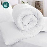 Corovin Luxury Anti-Allergy Soft Duvet Options