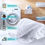 King Size Anti-Allergy Microfiber Summer Duvet