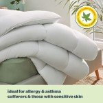 Anti-Allergy Double Duvet 7.5 Tog for Year-Round Comfort