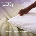Anti-Allergy Double Duvet - Year-Round Comfort