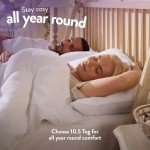 Cozy Double Duvet for Year-Round Comfort
