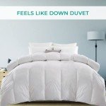Cozy Down-Like Anti-Allergy Duvet - Double Size