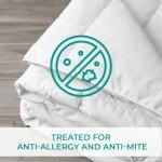 Cozy Down-Like Anti-Allergy Duvet - Double Size