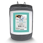 Sealy Anti-Allergy All-Season Double Duvet