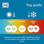 Sealy Anti-Allergy All-Season Double Duvet