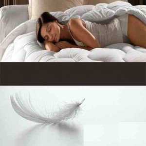 Single Duck Feather & Down Duvet 13.5 Tog