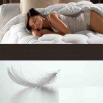 Single Duck Feather & Down Duvet 13.5 Tog