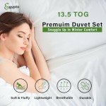 Double Size 13.5 Tog Anti-Allergy Duvet Set
