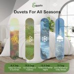 Double Size 13.5 Tog Anti-Allergy Duvet Set
