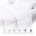 Luxury Goose Feather Double Duvet - 13.5 Tog