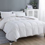 Cozy Double Size Goose Feather & Down Duvet