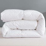 Cozy Double Size Goose Feather & Down Duvet