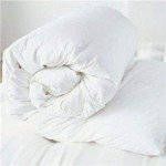 Cozy Anti-Allergy Double Duvet for Winter