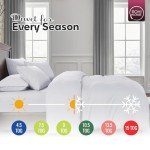 Rohi 15 Tog Anti-Allergy Double Winter Duvet