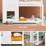Kayan Treehouse Bunk Bed with Ladder and Canopy