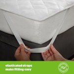 Silentnight Anti-Allergy Mattress Protector for Bunk Beds