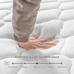 Vesgantti 10.3 Inch Hybrid Double Mattress