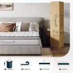 Vesgantti 10.3 Inch Hybrid Double Mattress