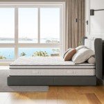 Vesgantti 10.3 Inch Hybrid Double Mattress