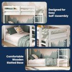 Flair Furnishings Shorty Bunk Bed for Kids