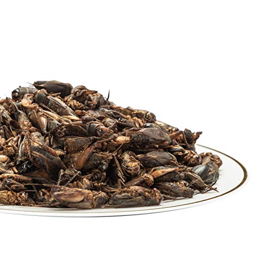 Bearded Dragon Mealworms & Dried Crickets 8oz