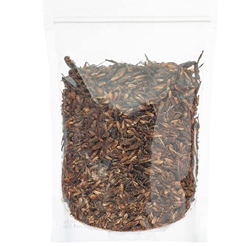 Bearded Dragon Mealworms & Dried Crickets 8oz