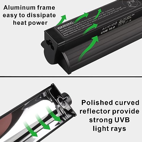 Keyoung T5 UVB Lighting Kit for Bearded Dragons