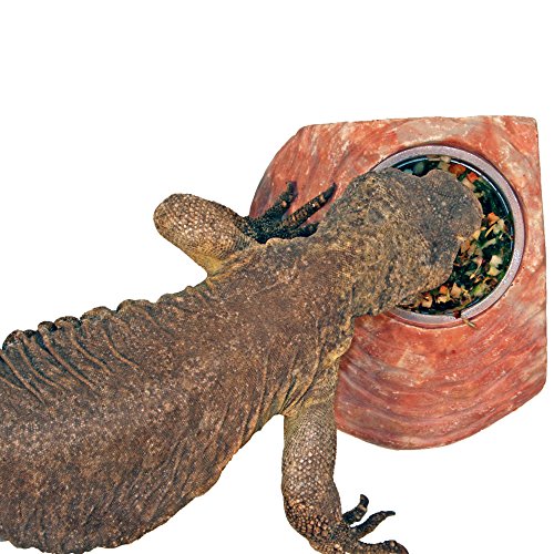 Instant Meal Veggie Mix for Bearded Dragons