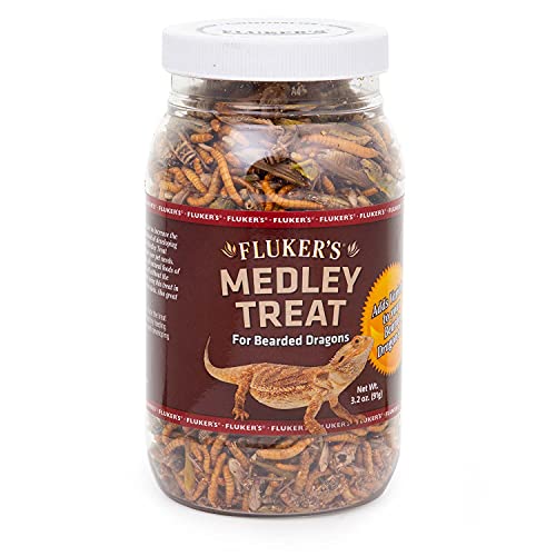 Nutritious Freeze-Dried Treat for Bearded Dragons