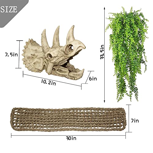 Bearded Dragon Tank Accessories: Triceratops Skull & Hammock