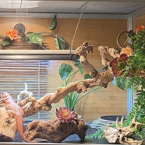 Dinosaur Resin Decor for Bearded Dragon Tanks