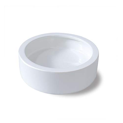 Bearded Dragon Ceramic Bowls - 2 Pack, White