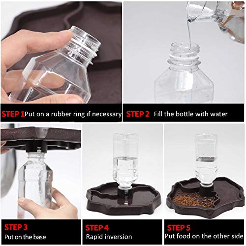 Bearded Dragon Food and Water Dish Set