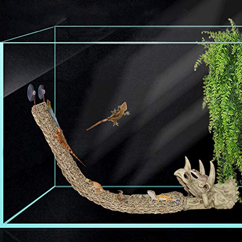 Bearded Dragon Tank Accessories: Triceratops Skull & Hammock