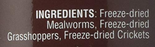 Nutritious Freeze-Dried Treat for Bearded Dragons