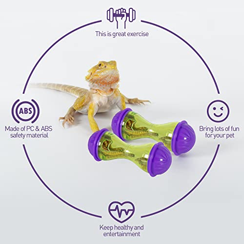 Reptizoo Bearded Dragon Feeding Station Set